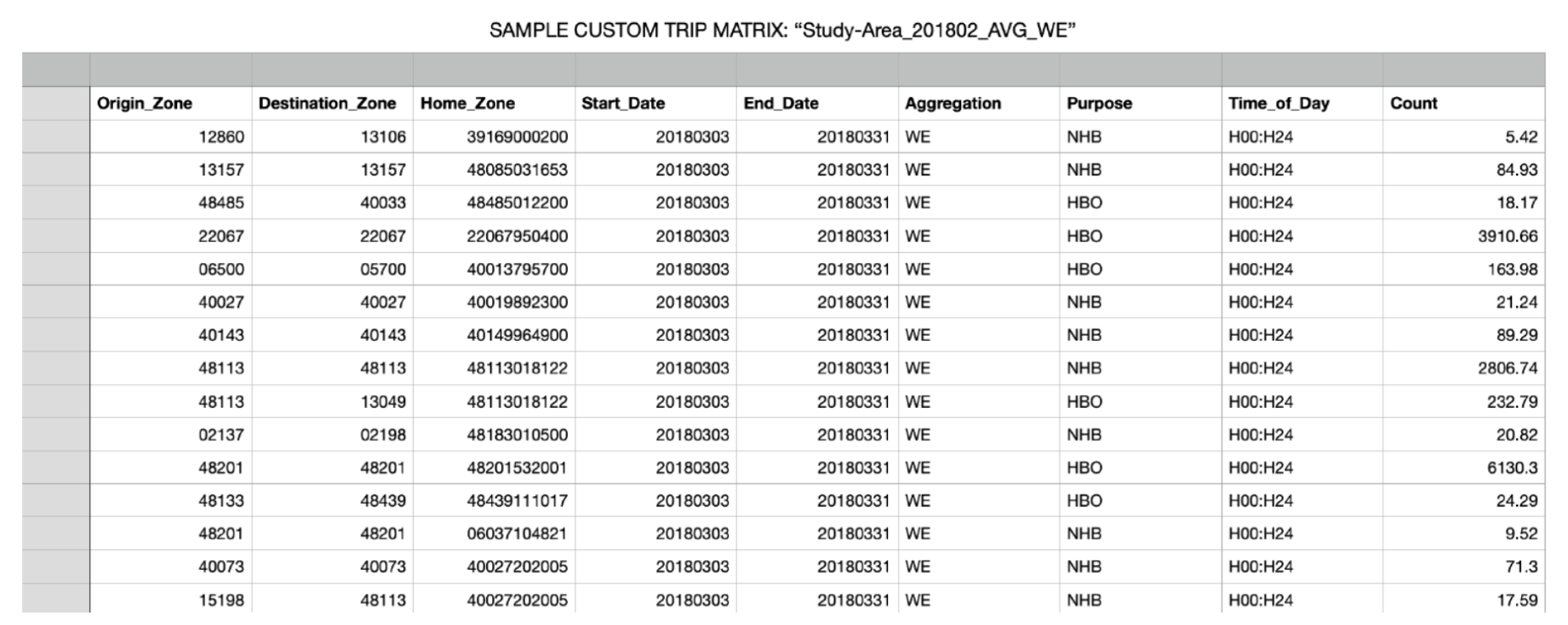 Custom Trip Matrix Sample